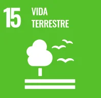Vida Terrestre
