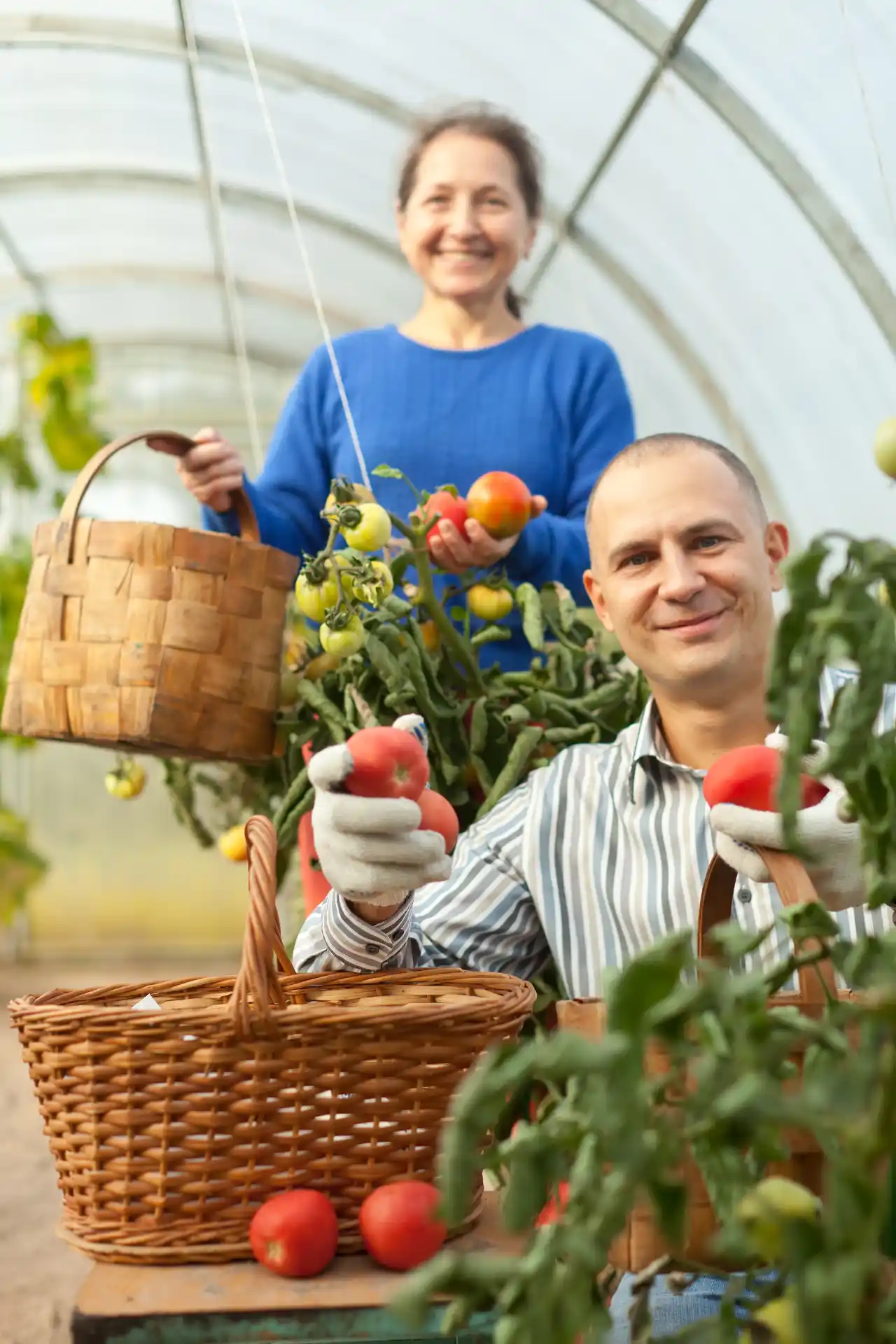 Planejamento de Produção
