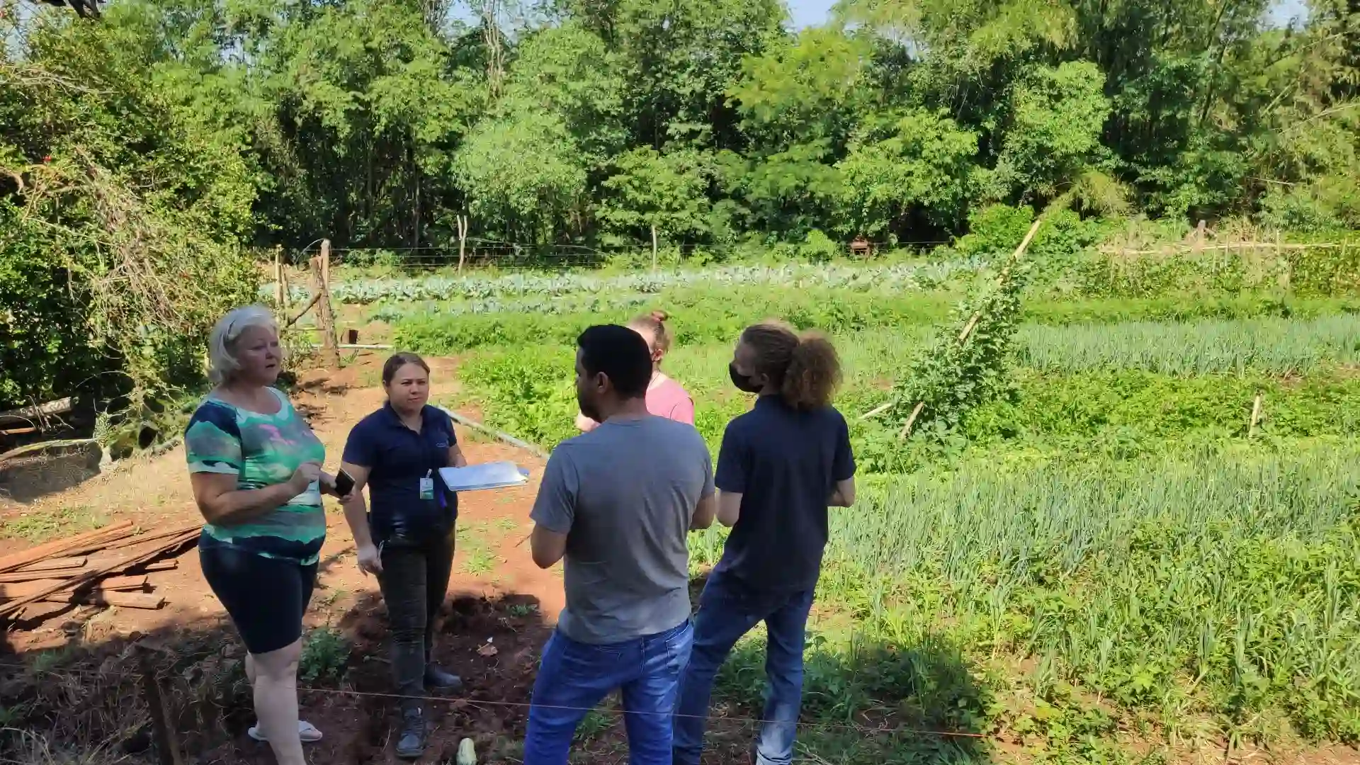 Validação em Campo